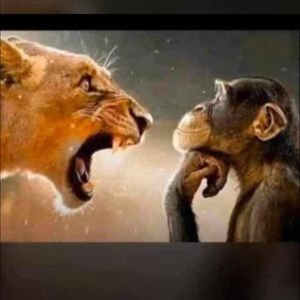 Meet your Posher, Edwin